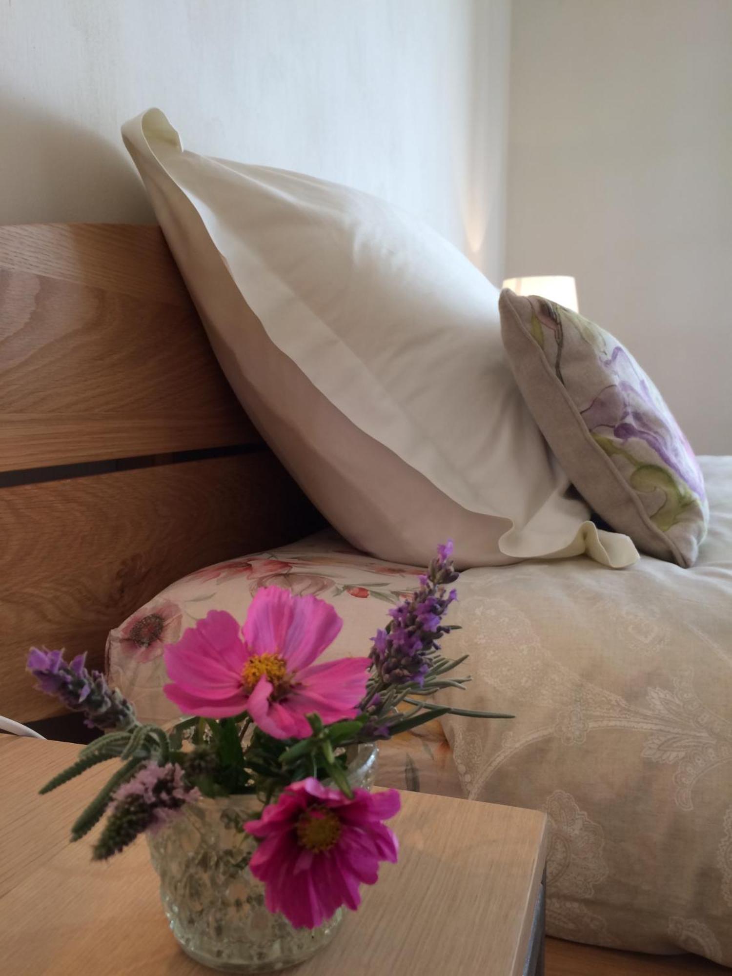 La Perle Des Montagnes - Bed And Breakfast - Chambre D Hote Vernet-les-Bains Eksteriør bilde